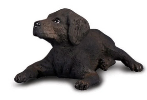 Reeves Collecta Labrador Retriever Puppy Black
