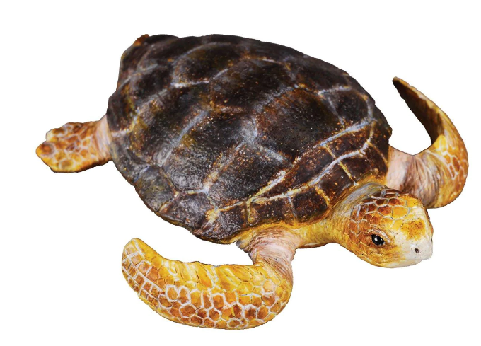 Reeves Collecta Loggerhead Turtle