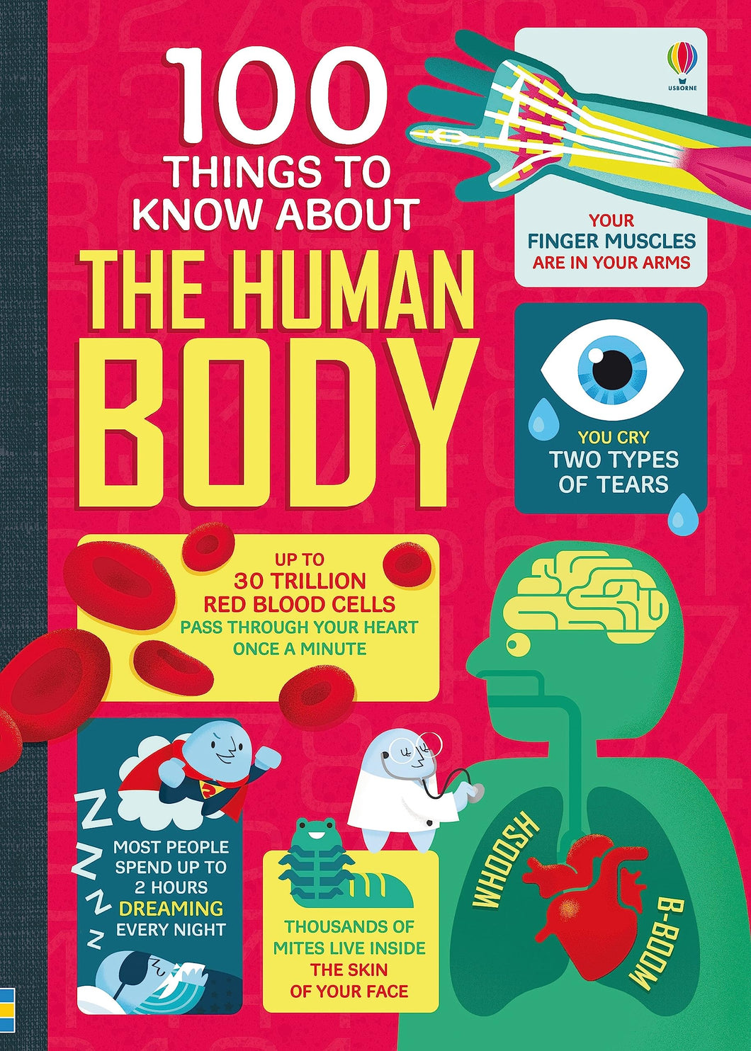 Usborne 100 Things to Know About The Human Body Book