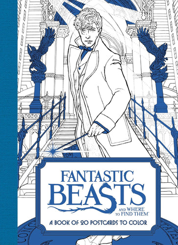 Fantastic Beasts and Where to Find Them 20 Postcards
