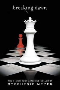 Twilight Saga Breaking Dawn Book 4 by Stephanie Meyer