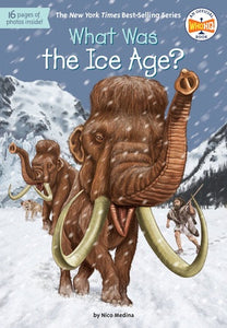 What Was The Ice Age? WHOHQ Series