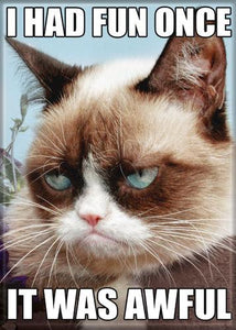 Grumpy Cat Magnet-It was Awful
