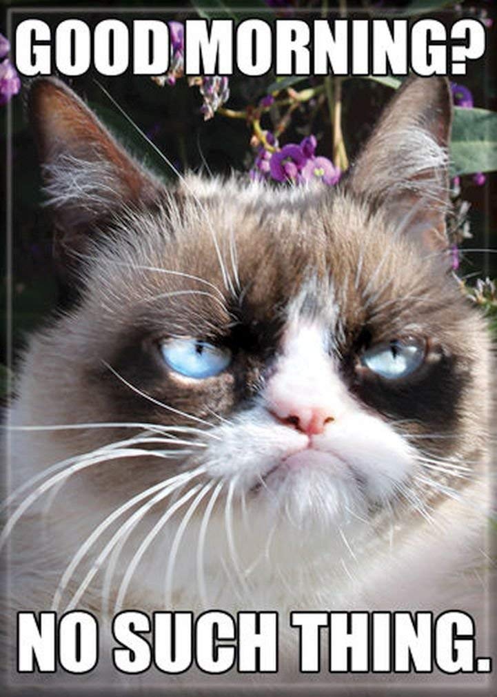 Grumpy Cat Magnet- Good Morning? No Such Thing