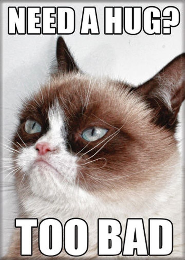 Grumpy Cat Magnet- Need A Hug? Too Bad