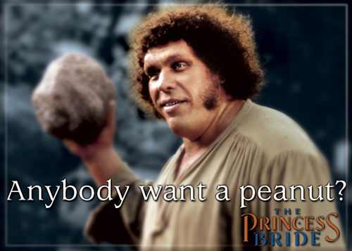 Princess Bride Magnet- Anybody Want A Peanut