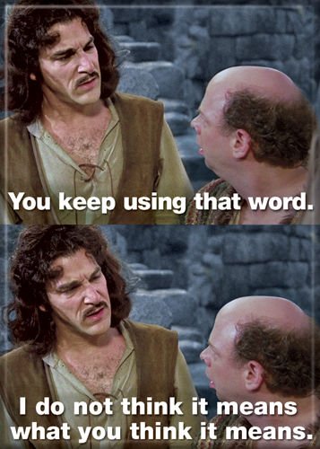 Princess Bride Magnet- What You Think It Means