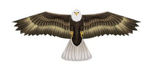 Load image into Gallery viewer, Birds of Prey Deluxe Nylon Kite 48&quot;