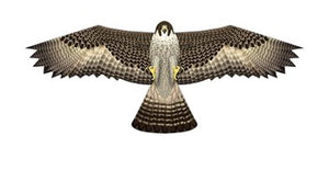 Birds of Prey Deluxe Nylon Kite 48"