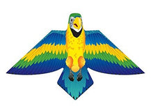 Load image into Gallery viewer, Birds of a Feather poly Kite 54&quot;