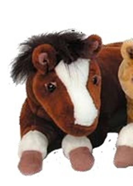 Plush Bay Colt 18
