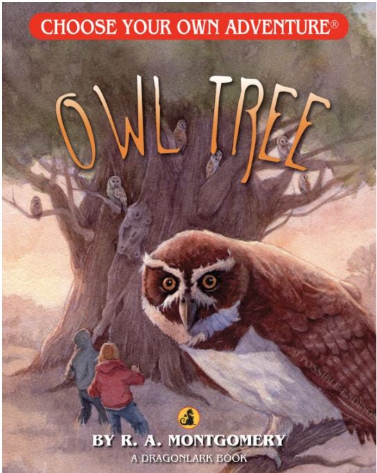 Dragonlark Choose Your Own Adventure Book-Owl Tree #80