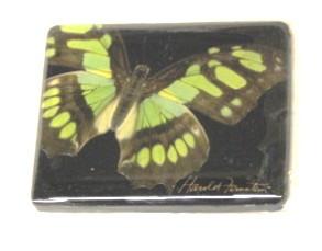 Harold Feinstein Butterfly Magnets- Green