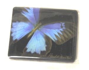 Harold Feinstein Butterfly Magnets- Blue