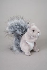 Shasta the Squirrel