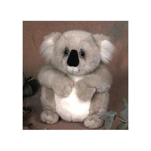 Sydney the Koala-12