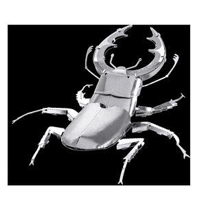 STAG BEETLE