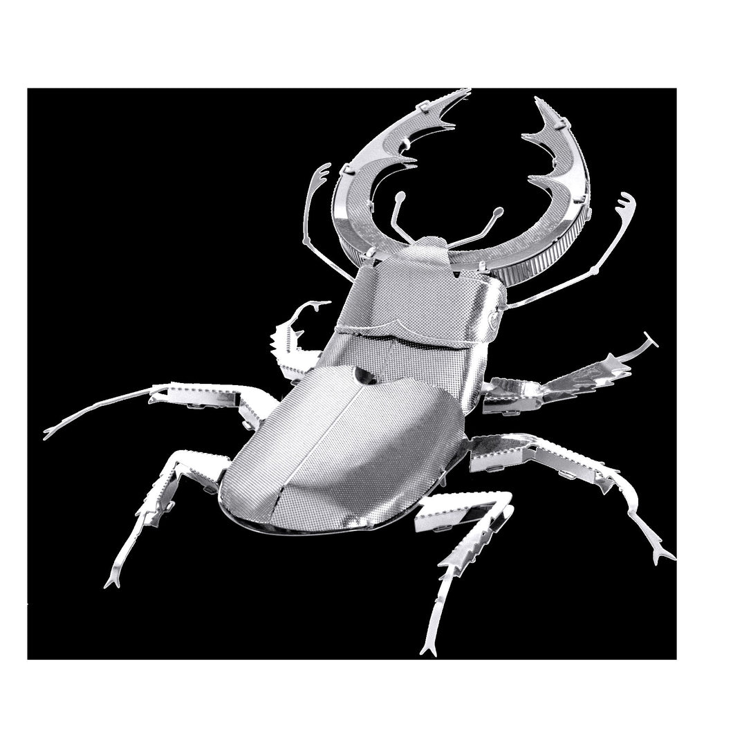 STAG BEETLE