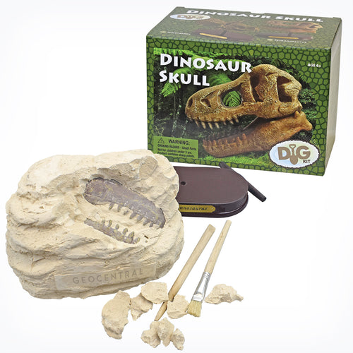 Geocentral Dinosaur Skull Dig Kit
