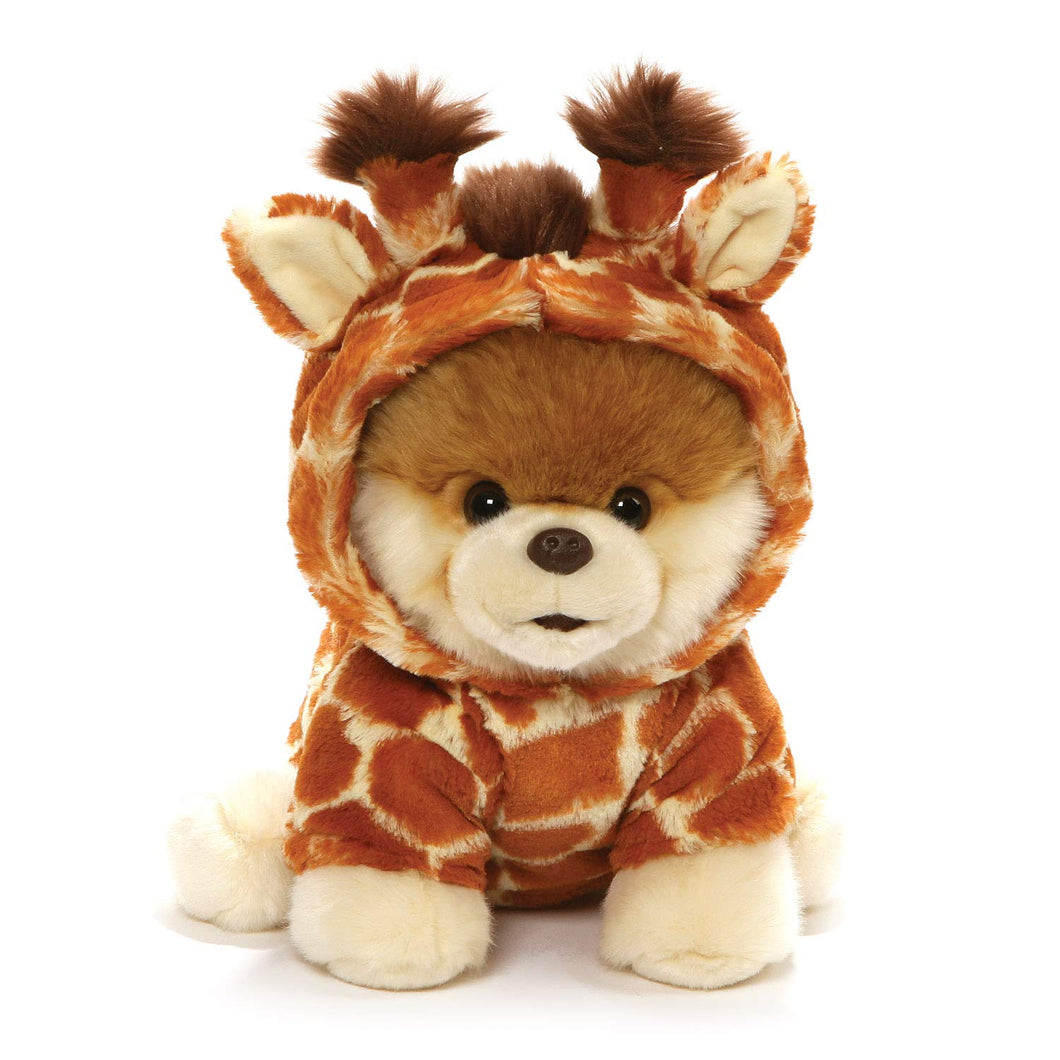 Boo The World's Cutest Dog Giraffe Boo