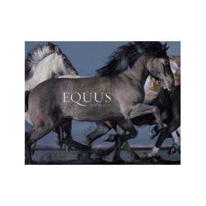 Equus by Tim Flach