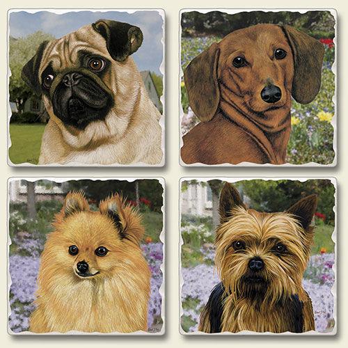 Absorbent Stone Coasters set of 4- Small Dogs