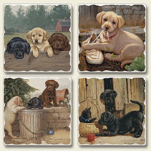 Absorbent Stone Coasters set of 4- Friends For Life