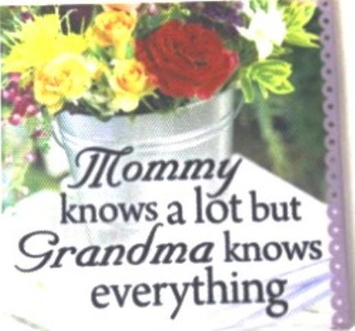 Canvas Magnets- Grandma knows Everything