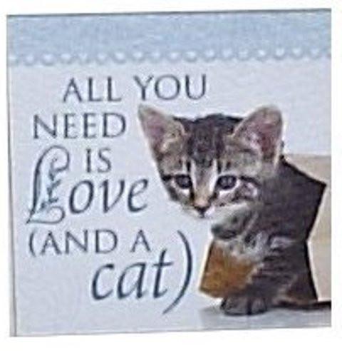 Canvas Magnets- Love and a Cat