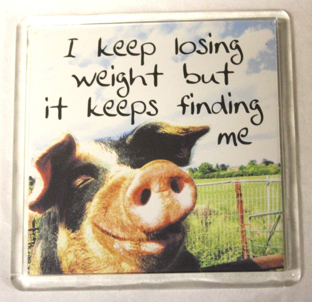 Sentiments Magnets - I Keep Losing Weight but It Keeps Finding Me