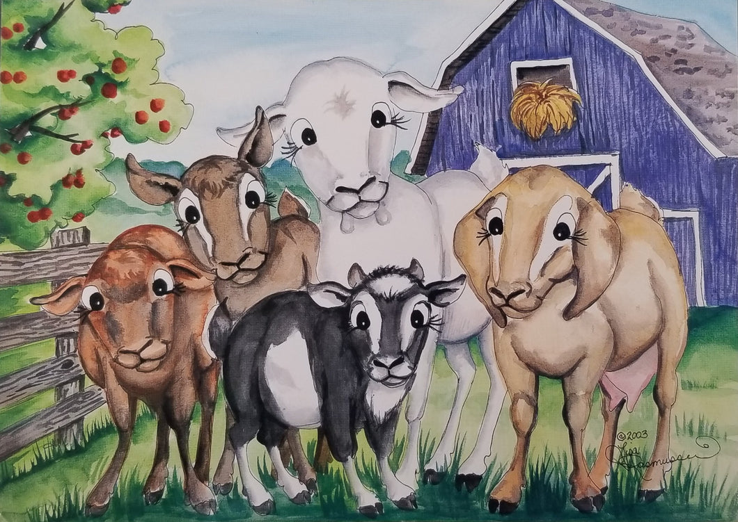 Goats in a Barnyard Postcard