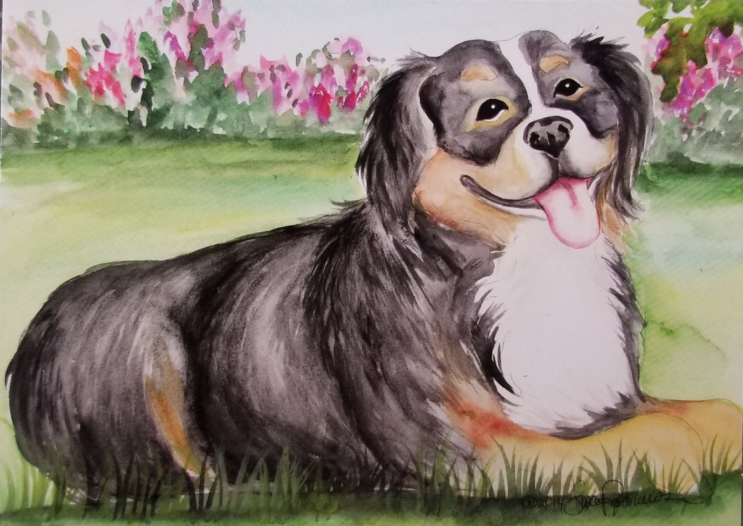 Bernese Mountain Dog Postcard