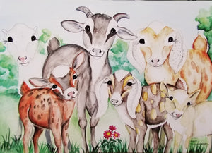 Goat Herd in a Field Postcard