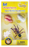 Ant Life Cycle Figurines