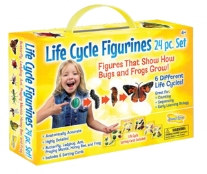 Life Cycle Figurines 24 pc. Set
