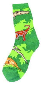 Dinosaur Mix Socks- Large