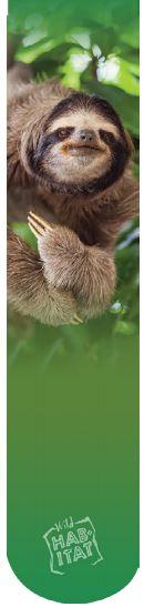 Wild Habitat Sublimation Socks- Sloths