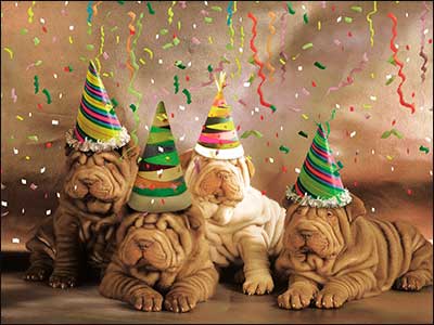 May the Good Times Outnumber the Wrinkles Birthday Card #47369