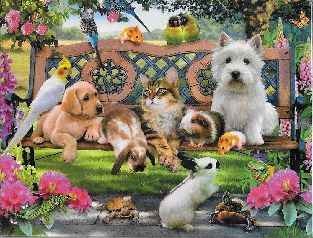 Pets 8 Blank Notecards and Envelopes