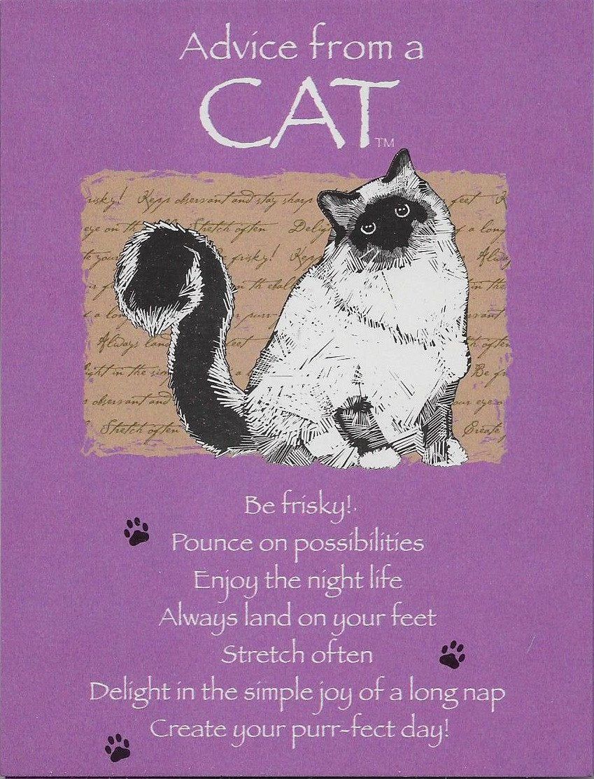 Advice from a cat 8 Blank Notecards and Envelopes