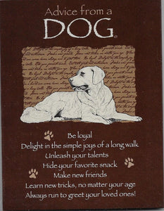 Advice from a Dog 8 Blank Notecards and Envelopes