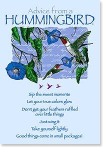 Advice from a Hummingbird Blank Notecards wih Envelopes - Freedom Day Sales