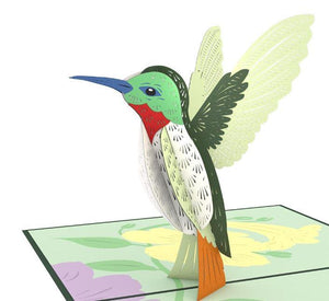 Lovepop Hummingbird Pop Up Greeting Card