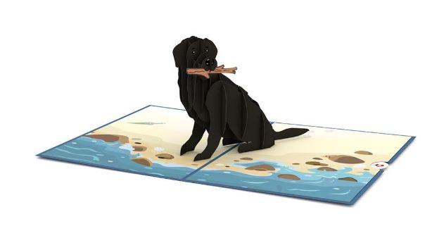 Lovepop Black Lab Pop Up Greeting Card