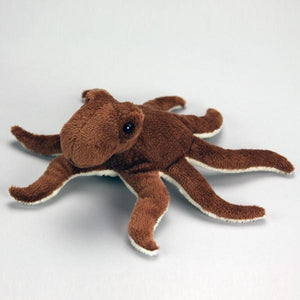 Curly Jr. the Octopus