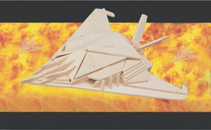 B2-Fighter plane Wooden 3-D Puzzle