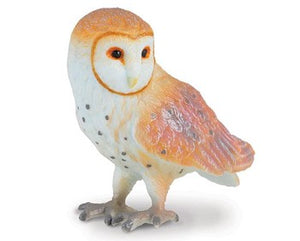 Reeves Collecta Barn Owl