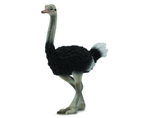 Reeves Collecta Ostrich