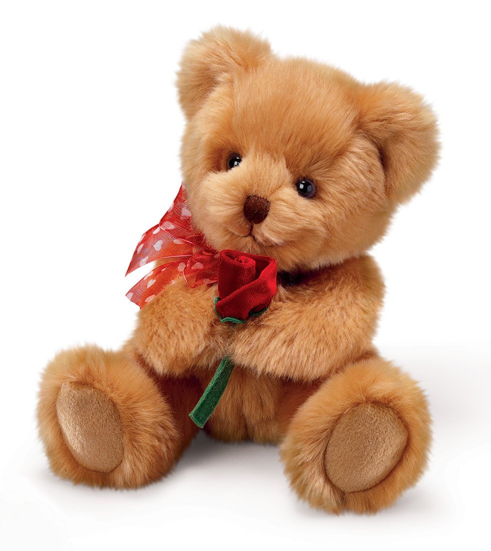 Small Brown Bear with Red Rose