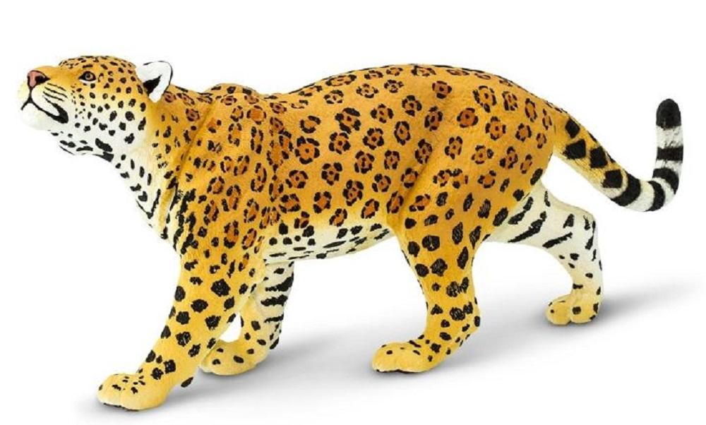 Safari Jaguar